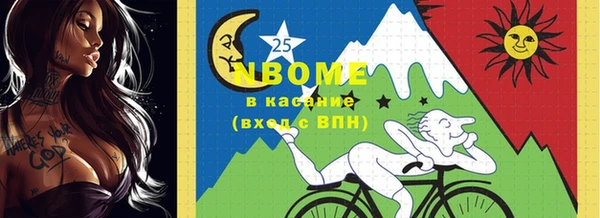 дживик Баксан