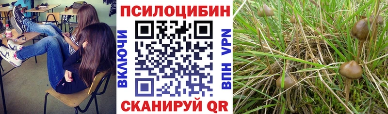 Галлюциногенные грибы прущие грибы  купить наркотики сайты  hydra сайт  Лангепас 